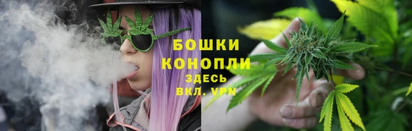 трава Нефтекумск