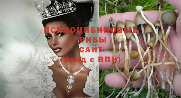 мяу мяу мука Алексин