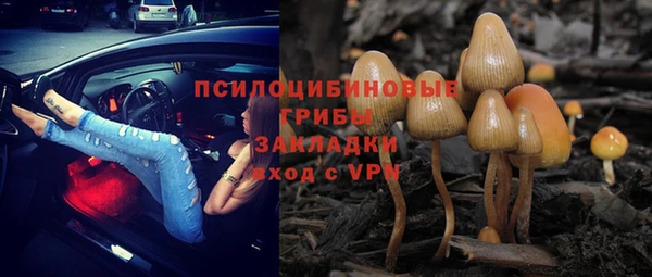 мет Алзамай