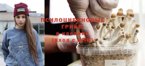 соль курить ск Алексеевка