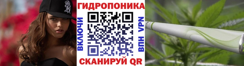 Шишки марихуана AK-47  Стародуб 